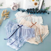 Cute Wing Chiffon Panties Underwear