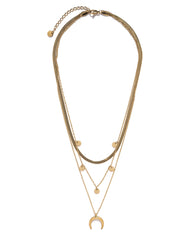 Horn Layered Herringbone Necklace
