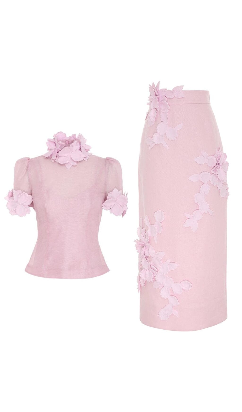 Floral Appliqued Mesh Midi Dress