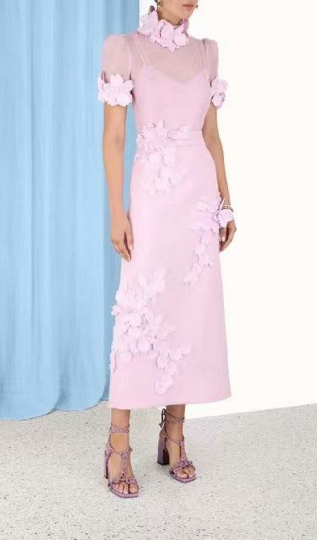 Floral Appliqued Mesh Midi Dress