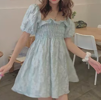 Puff Sleeve Embroidered Shirred Dress