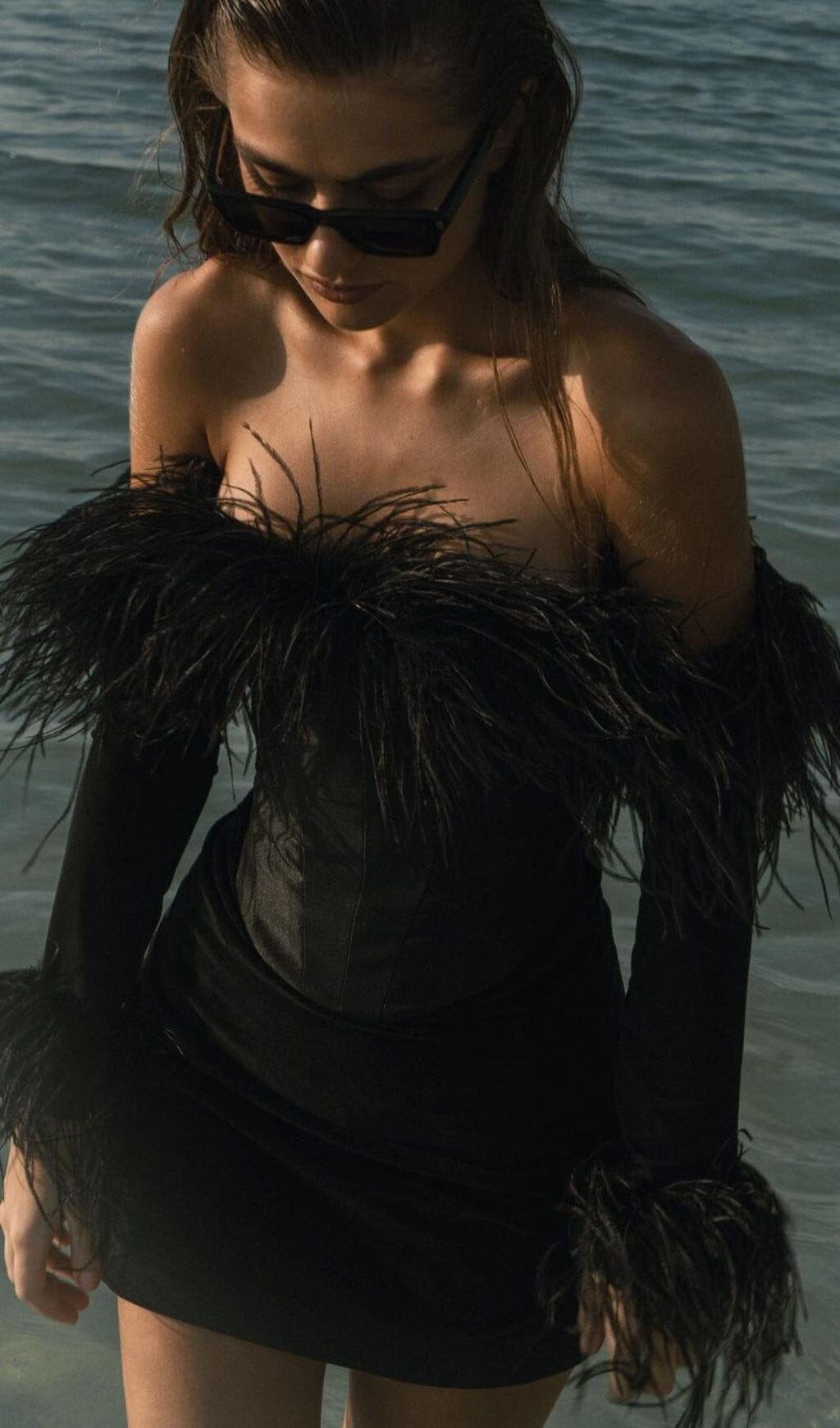FeaTher Corset Mini Dress In Black