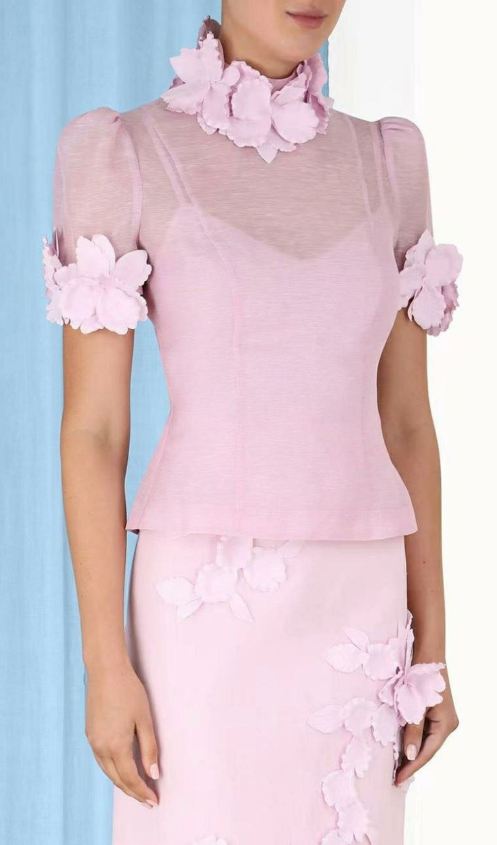 Floral Appliqued Mesh Midi Dress