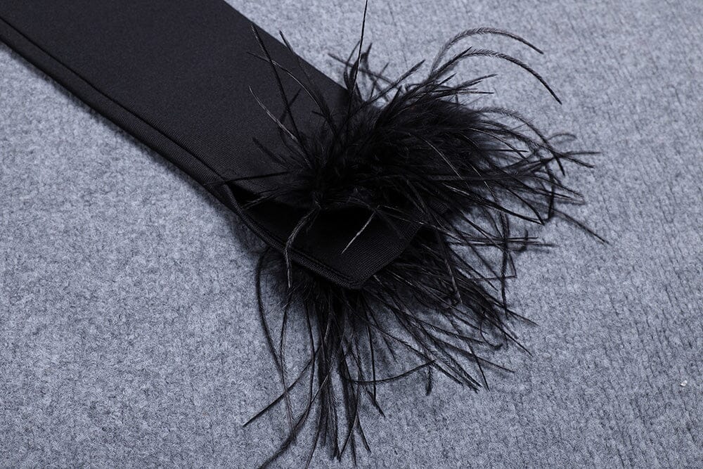 FeaTher Corset Mini Dress In Black