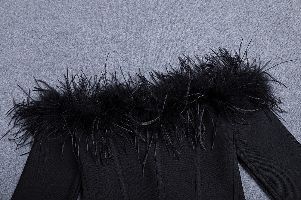 FeaTher Corset Mini Dress In Black