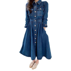Long sleeve flare denim dress
